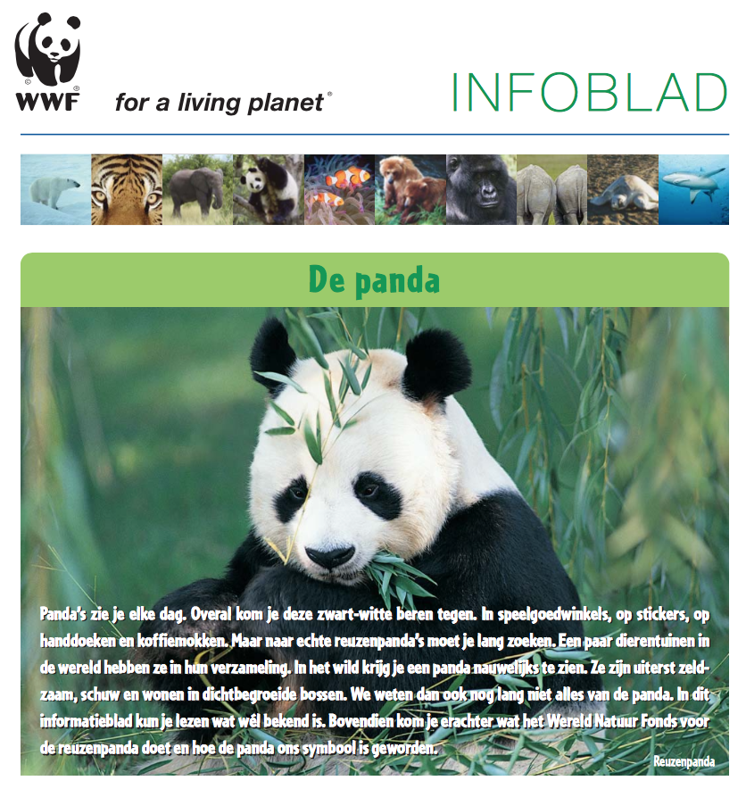 Screen Shot 2015-02-04 at 13.14.16